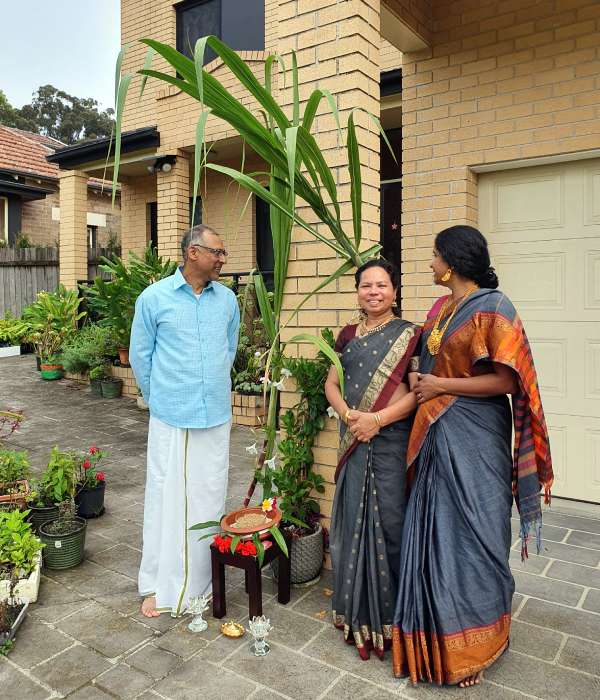 Tamil Nadu celebrates Pongal festival in a grand manner Tamil Nadu celebrates Pongal festival in a grand manner