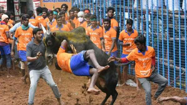அவனியாபுரம் ஜல்லிக்கட்டு