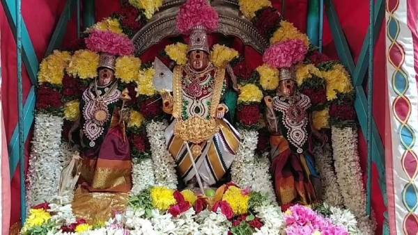 Thaipusam palani Murugan Statue Dharisanam special and significance Thaipusam palani Murugan Statue Dharisanam special and significance