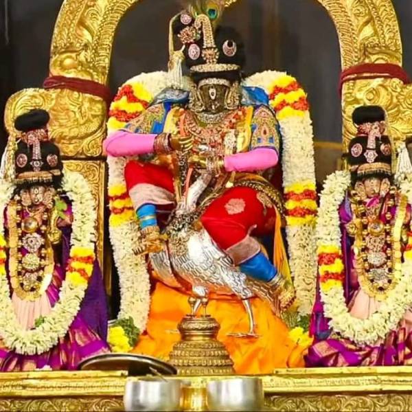 கருட வாகனத்தில் பெருமாள்