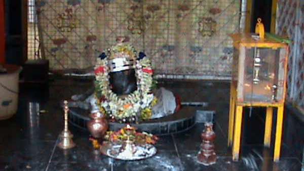பக்தர்கள் தரிசனம்