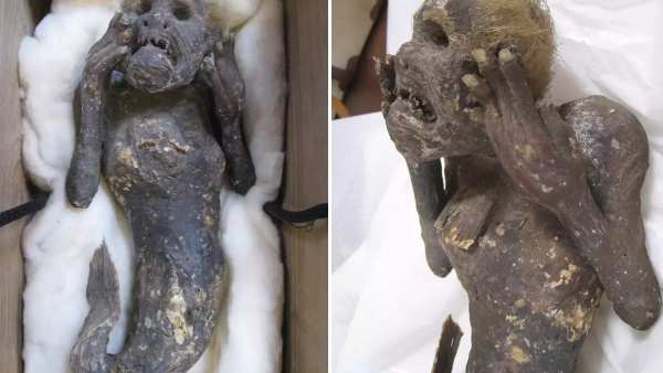 மீனவர் வலையில் 300 ஆண்டுகள் பழமையவாய்ந்த மம்மி.. கடற்கன்னியை போல் தோற்றம்.. சிறப்பு என்ன? 