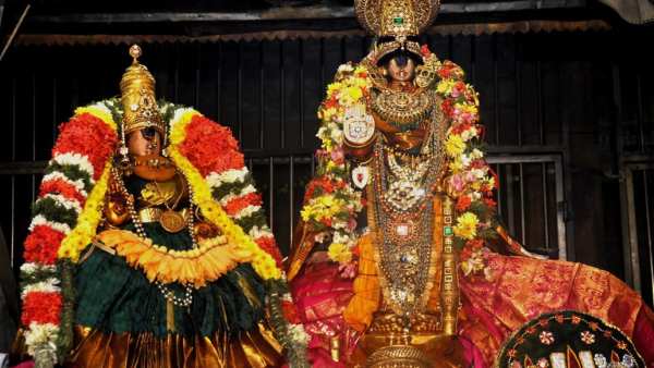 Aadi Krithikai Today Devotees Sami dharsanam in Murugan temple Aadi Krithikai Today Devotees Sami dharsanam in Murugan temple