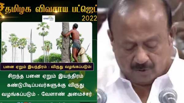 பனை விவசாயிகள் வயிற்றில் பால் வார்த்த விவசாய பட்ஜெட்! மதிப்புகூட்டு பொருள் தயாரிப்புக்கு 75% மானியம் 