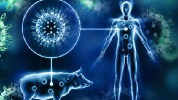 12 year old Girl dies of H1N1 infection in Kerala 12 year old Girl dies of H1N1 infection in Kerala