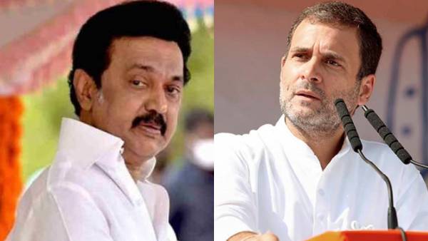 அண்ணான்னு சொன்னாரே! டெல்லியில் இருந்துகொண்டே ஸ்டாலினை சந்திக்காத ராகுல்! அவரை பார்த்ததால் பிரச்சனையா