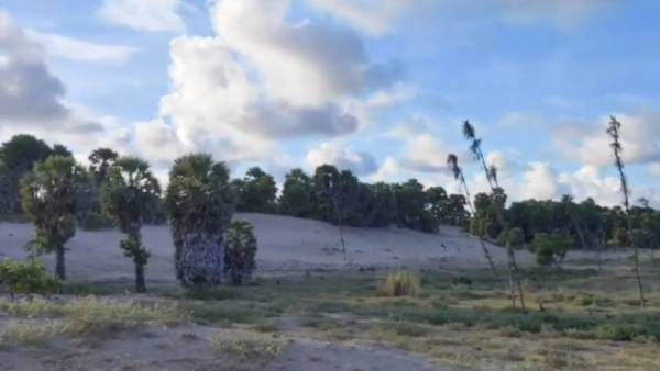  2004 சுனாமியில் ஒரு உயிர் கூட போகாத அதிசய கிராமம் தெற்குபொய்கைநல்லூர்.. என்னதான் \