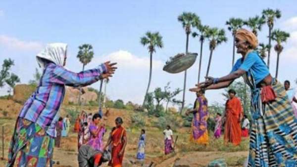 Daily wages of MGNREGA 100 day work scheme raised in Tamilnadu Daily wages of MGNREGA 100 day work scheme raised in Tamilnadu