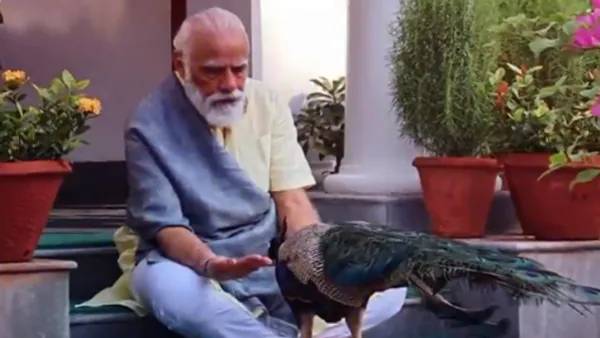 குஜராத் முதலமைச்சர்