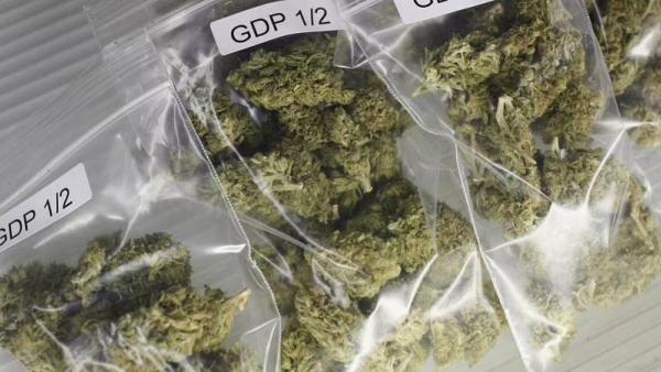 Check mate for Ganja seller in South Tamilnadu - 813 bank accounts blocked Check mate for Ganja seller in South Tamilnadu - 813 bank accounts blocked