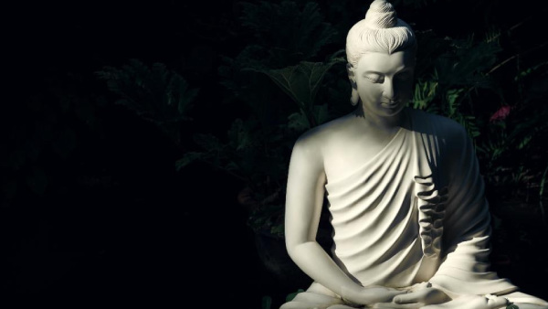 போராட்டம்...பொருளாதார நெருக்கடிக்கு இடையே இலங்கையில் களை கட்டிய புத்தபூர்ணிமா கொண்டாட்டம் 