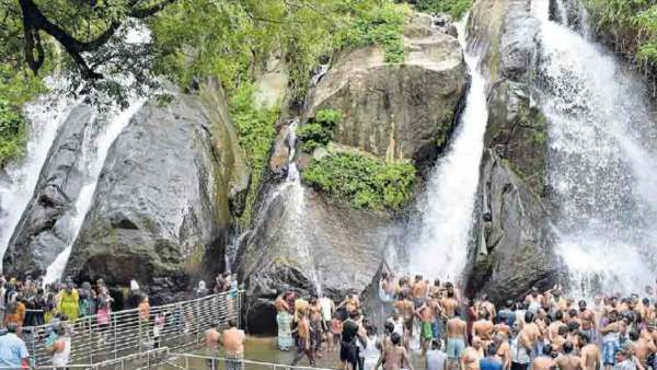 தென்னகத்தின் ஸ்பா...குற்றால அருவியிலே குளிச்சது போல் இருக்குமா.. நீராடுவது ஏன் அவசியம் தெரியுமா? 