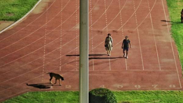 ஒரு முக்கிய புள்ளி.. பக்கத்துலயே ஒரு நாய்.. டெல்லியை உலுக்கிய ஒற்றை போட்டோ.. வசமா மாட்டிக்கிட்டாரே! 