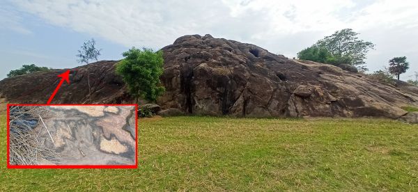 சுனை