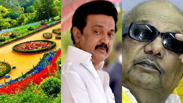 ஊட்டி போல் சென்னையிலும்.. கருணாநிதி பிறந்தநாளில் மலர் கண்காட்சி! வரலாற்றில் முதன்முறையாம் 