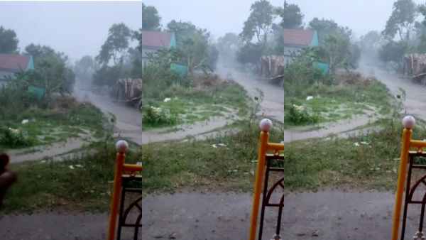 சூறாவளிக்காற்றுடன் பெய்த பேய்மழை... முறிந்த மரங்கள்  மின்தடையால் குண்ணத்தூர் மக்கள் தவிப்பு 