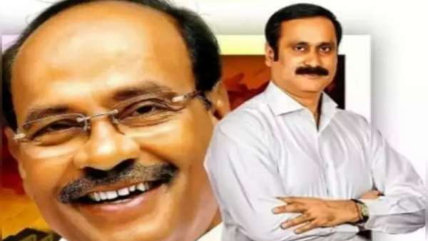 விட்டில் பூச்சிகள்