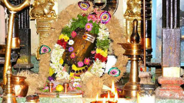 Vaikasi Amavasai devotees are allowed 5 days to go to Sathuragiri hill Vaikasi Amavasai devotees are allowed 5 days to go to Sathuragiri hill