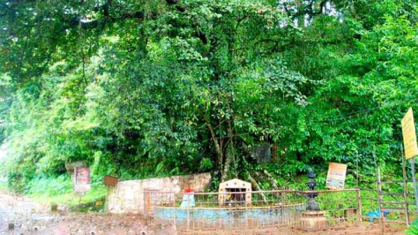 மலை உச்சி