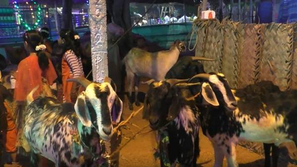 முனியாண்டி கோயில்