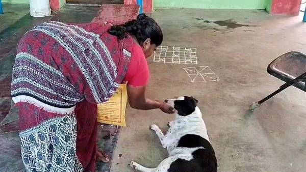 மருந்து மாத்திரை