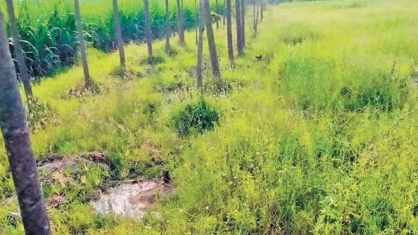 25 வருட போராட்டம்! நெகிழ்ச்சியில் உறைந்த அரியலூர் மக்கள்! அரசின் முடிவால்.. ஆனந்த கண்ணீர்! என்னாச்சு