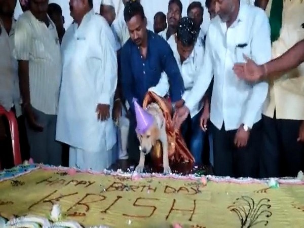 நெட்டிசன்கள்