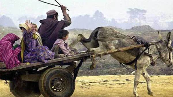 கடிதம் எழுதிய ஊழியர்