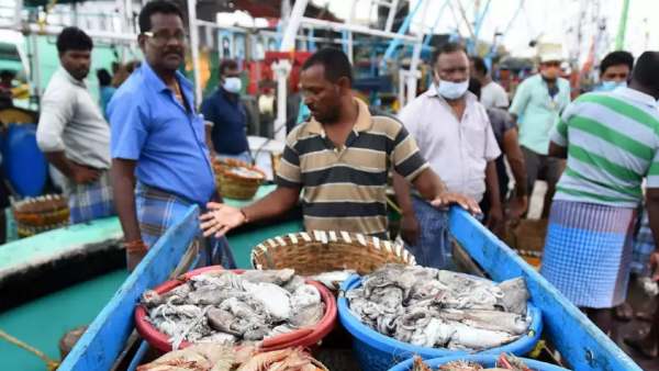  முடிந்தது மீன்பிடி தடை காலம்.. களைகட்டியது காசிமேடு மீன் சந்தை! ஆனாலும் அசைவ பிரியர்கள் சோகமாம்!
