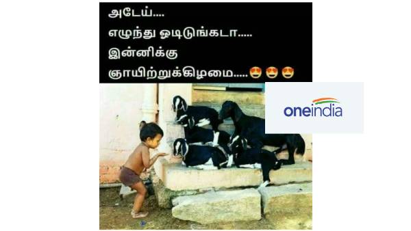 Funny memes collection on sunday meals Funny memes collection on sunday meals