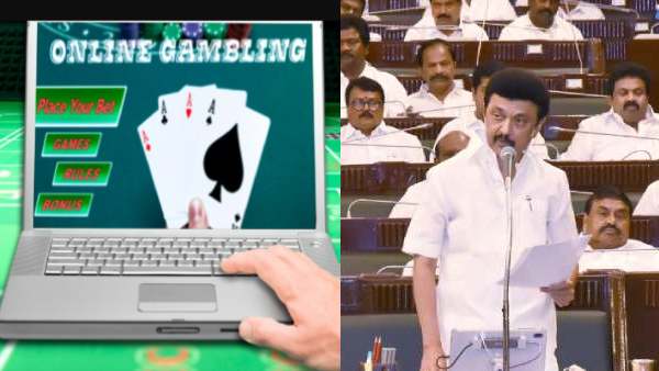 The panel set up to make legislative recommendations to ban online gambling has submitted the report to Chief Minister MK Stalin The panel set up to make legislative recommendations to ban online gambling has submitted the report to Chief Minister MK Stalin