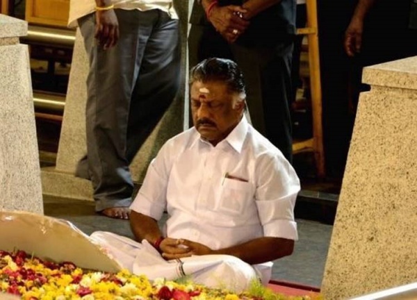 பரிதாபம்