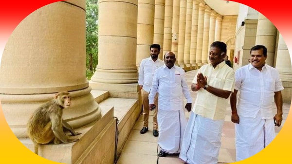 குரங்குக்கு வணக்கம்