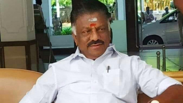 ஆளுமை, மெஜாரிட்டி