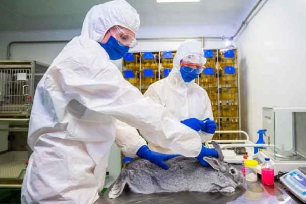 Anocovax: India launches its first COVID-19 vaccine for animals name Anocovax Anocovax: India launches its first COVID-19 vaccine for animals name Anocovax