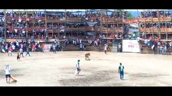 எருது விடும் விழா