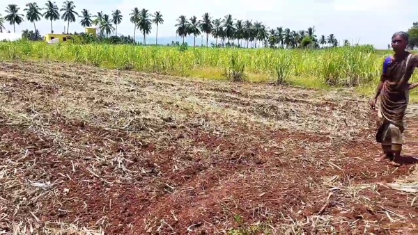 தொடர் நடவடிக்கை
