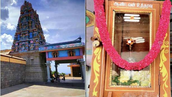 பூமியில் தாக்கம்