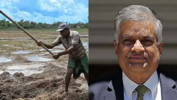 Sri Lanka seeks Rs427.8 Crore from India to buy urea Sri Lanka seeks Rs427.8 Crore from India to buy urea