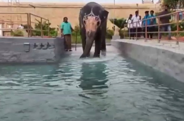 அகிலா பிறந்தநாள்