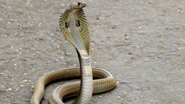 மருத்துவமனை