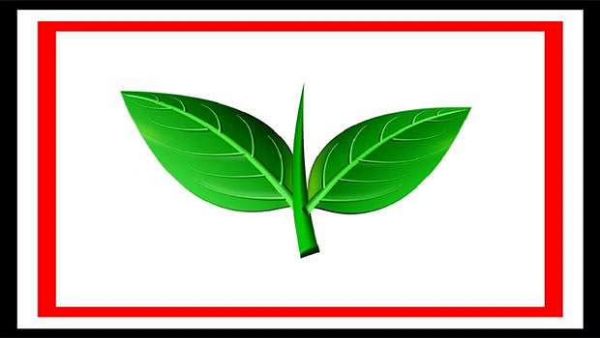 ‘பொன்விழா ஆண்டு’ முடக்கப்பட்ட இரட்டை இலை! சீல் வைக்கப்பட்ட அலுவலகம்! புலம்பி தவிக்கும் ர.ர.க்கள்..! 