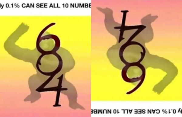போட்டோவில் மறைந்திருக்கும் புதிர்! இதை கண்டுபிடிக்கிறவங்களுக்கு.. லைஃப் டைம் செட்டில்மென்ட்! சேலஞ்ச் 