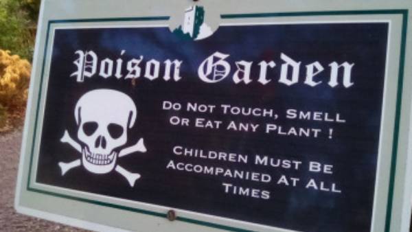 இரும்பு கேட்டில் எலும்பு கூடு.. பேரை கேட்டாலே திகிலாக இருக்கே.. 100 விஷச் செடிகளை கொண்ட கார்டன் 