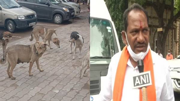 தெருநாய் தொல்லை இனி இல்லை.. பெங்களூருக்கு ஆறுதல் நியூஸ் சொன்ன அமைச்சர்