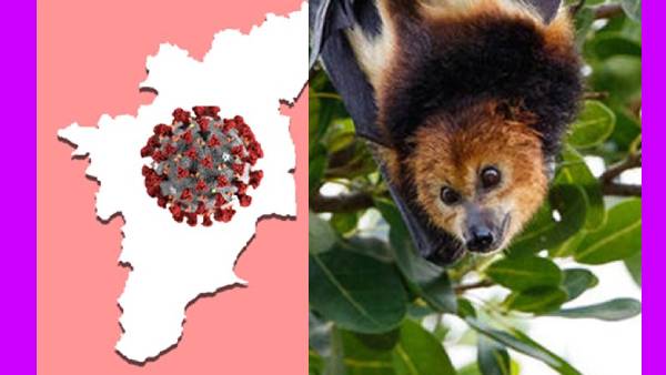 உலகை அச்சுறுத்தும் மார்பர்க் வைரஸ்.. கானா நாட்டில் கண்டுபிடிப்பு.. இறப்பு விகிதம் 88% வரை இருக்கலாம்