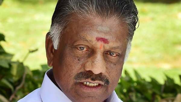 கருப்பு ஆடு