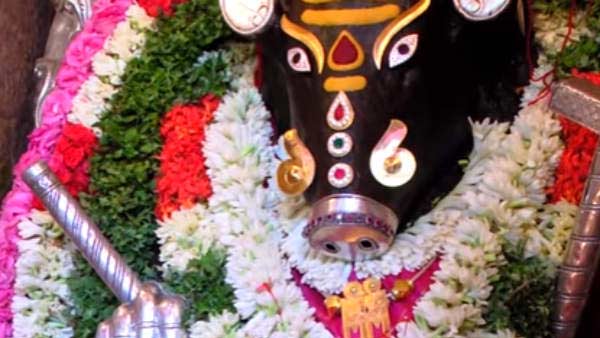 வழக்குகளில் வெற்றி