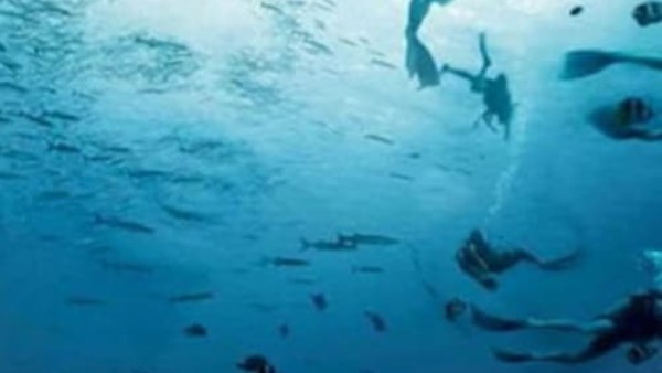 பார்த்ததும் குழப்பம்.. இந்த மாய புகைப்படத்தை பாருங்களேன்.. உங்க கேரக்டரை ஈஸியா சொல்லிட முடியும்!