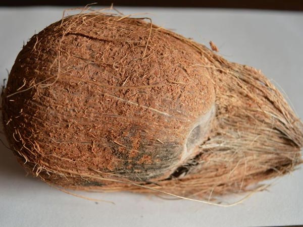 சிதறு தேங்காய்
